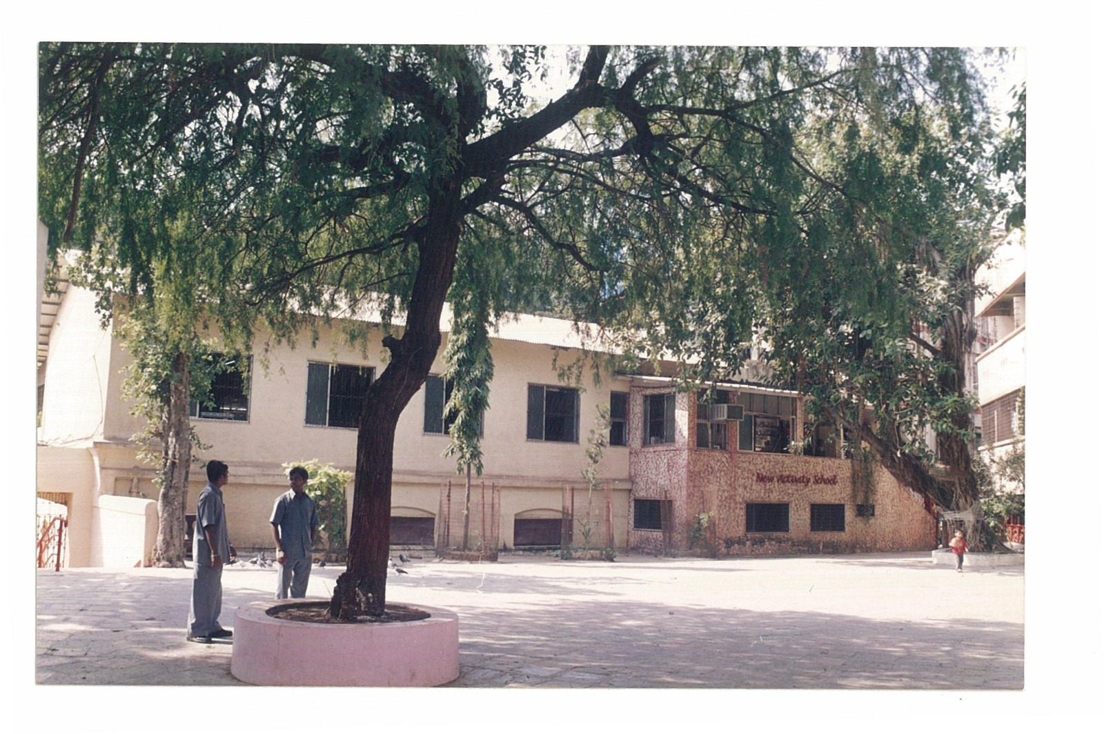 The New Activity School courtyard and building under the trees